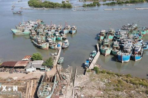 Khắc phục 'thẻ vàng' IUU: 'Siết chặt-gỡ trúng' quản lý tàu cá chưa đủ điều kiện