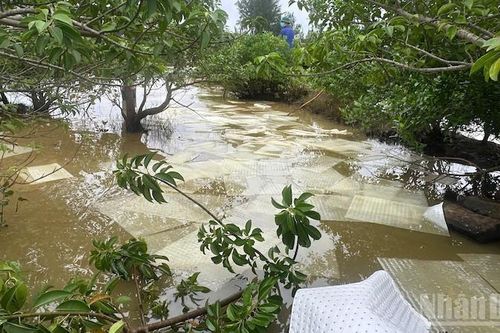 Đời sống của người dân xã Vạn tường (Quảng Ngãi) bị ảnh hưởng bởi sự cố tràn dầu
