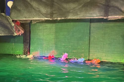 Điểm hẹn rối nước trong không gian bảo tàng