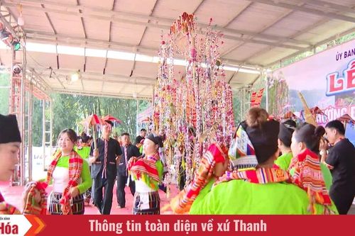 Sắc màu cây bông trong văn hóa người Thái