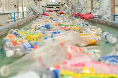 Rác nhựa: Tài nguyên đang bị bỏ phí vào thùng rác