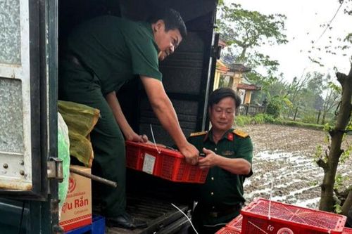 Bàn giao 676 con rắn hổ mang cho cơ sở bảo tồn đa dạng sinh học