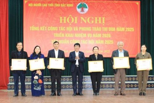 Hội Người cao tuổi tỉnh tiếp tục đẩy mạnh phong trào thi đua 'Tuổi cao - Gương sáng'