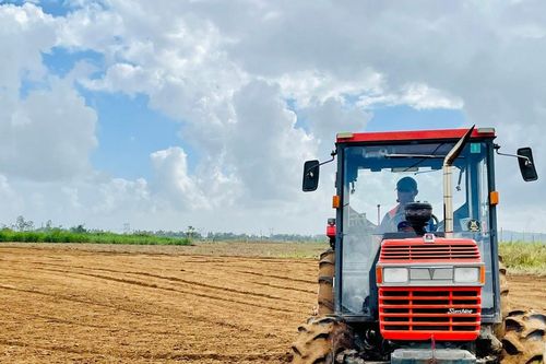 Sớm cải tạo đất bồi lấp sản xuất vụ đông xuân