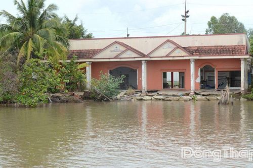 Đồng Tháp: Đầu tư gần 200 tỷ đồng xử lý sạt lở bờ sông Tiền khu vực bến phà Tân Long