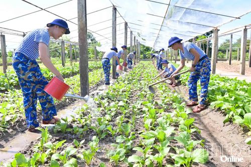 Lữ đoàn 101: Thực hiện tốt công tác nuôi quân