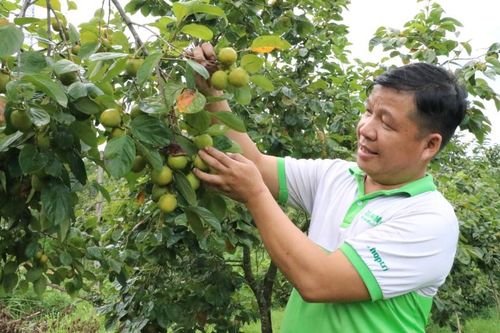 Khoa học kỹ thuật thúc đẩy sản xuất nông lâm nghiệp