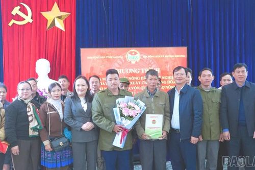Lào Cai có 166 chi hội nông dân nghề nghiệp