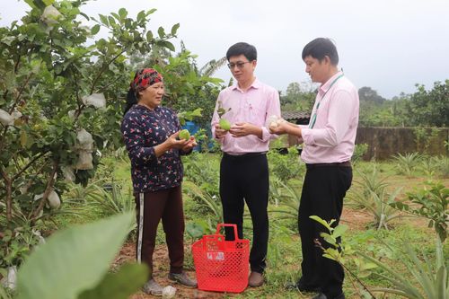 Vốn tín dụng chính sách tạo việc làm cho lao động nông thôn