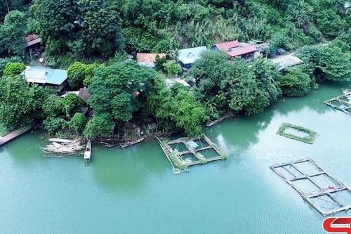 Duy trì và phát triển nghề nuôi cá lồng