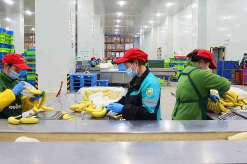 Hàng Trung Quốc giá rẻ càn quét việc làm khắp thế giới