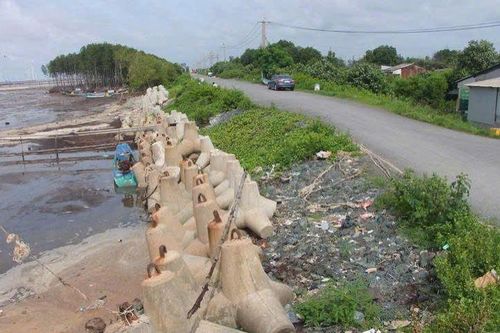 Cà Mau đầu tư hơn 185 tỷ đồng khép kín tuyến kè giảm sóng, bảo vệ đê biển