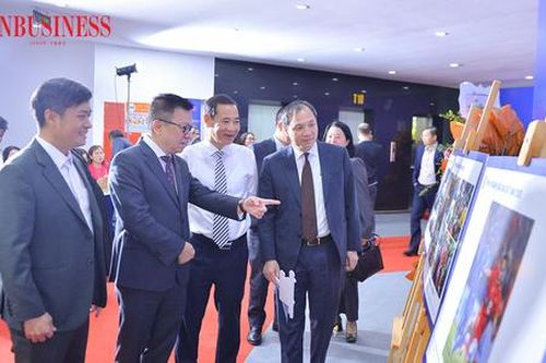 Giải ảnh 'Khoảnh khắc Báo chí' 2025: Tôn vinh những khoảnh khắc chân thực của đời sống qua ống kính báo chí