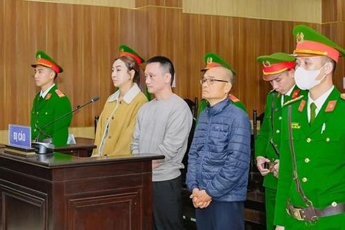 Vi 'ngộ' hầu tòa vì tội trốn thuế