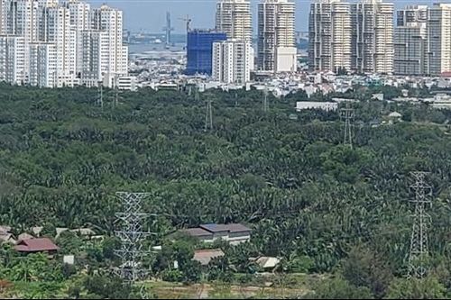 Giá đất ở cao nhất tại TP Hồ Chí Minh hơn 687 triệu đồng/m2