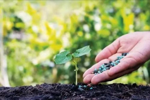 Tháo gỡ điểm nghẽn để xanh hóa ngành hóa chất, phân bón