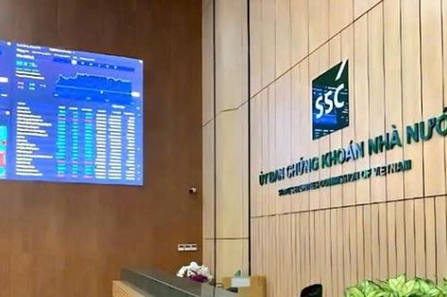 Sai lệch, chậm công bố thông tin, Công ty Phát triển Bất động sản Cát Liên Hoa bị phạt nặng