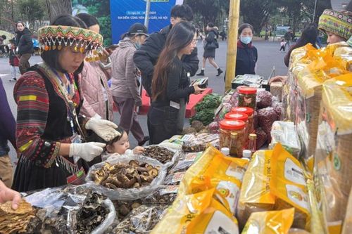 Khai mạc Tuần hàng giới thiệu, quảng bá sản phẩm của vùng đồng bào dân tộc thiểu số và miền núi tỉnh Cao Bằng tại Hà Nội