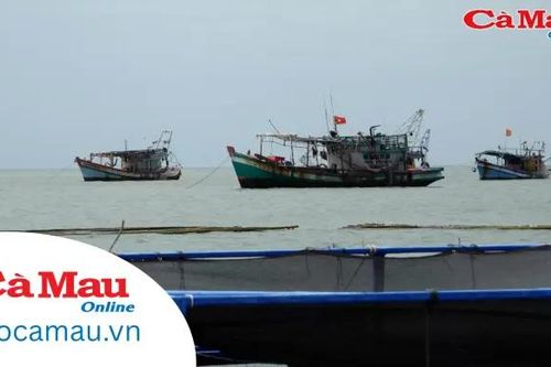 Bảo tồn tài nguyên biển, bảo vệ sinh kế bền vững