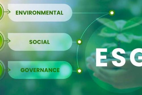Tích hợp các cam kết ESG với Chiến lược thị trường Carbon: Cơ hội cho doanh nghiệp Việt Nam