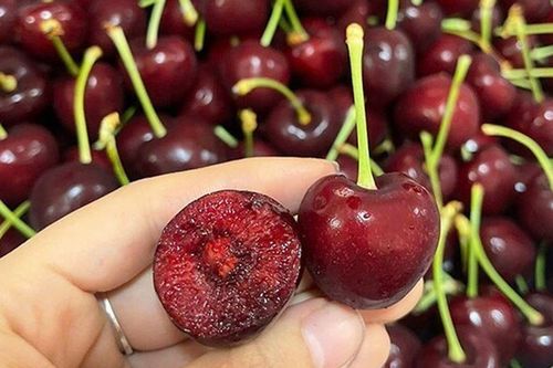 Loại quả 'tốt nhất thế giới' Việt Nam trồng thành công, là đặc sản nổi tiếng được ưa chuộng, tốt cho sức khỏe