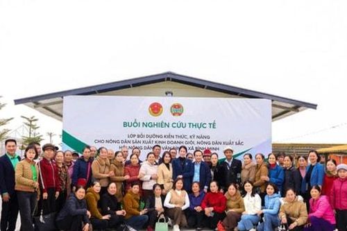 Nông dân Vân Đình dám nghĩ, dám làm, hình thành những mô hình giảm nghèo bền vững