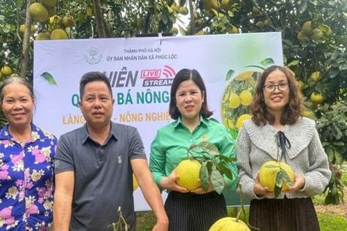 Bức tranh giảm nghèo bền vững từ chính sách quốc gia đến thực tiễn cơ sở