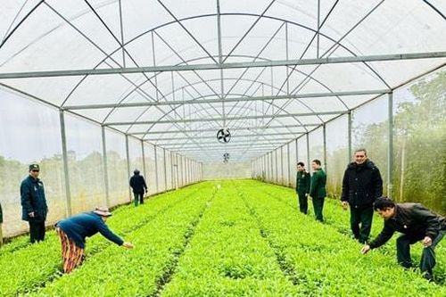 Hội Cựu chiến binh xã Nam Phù chuyển giao khoa học, kỹ thuật, giúp hội viên vươn lên làm giàu