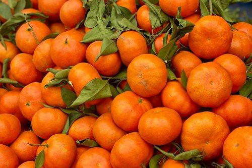 Tiểu thương chia sẻ về một loại cam đang bán tràn ngập thị trường, được người tiêu dùng không tiếc tiền mua