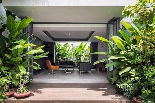 3 loại cây này dù rất đẹp nhưng không nên trồng trước nhà vì ảnh hưởng phong thủy và an toàn gia đình