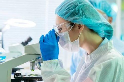 Thu nhập ngành Y tế – Dược nhìn từ dữ liệu thị trường lao động năm 2025