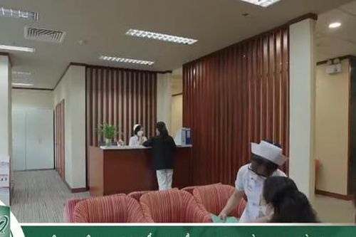 Bệnh viện Y học Cổ truyền TPHCM hòa nhịp cùng du lịch y tế