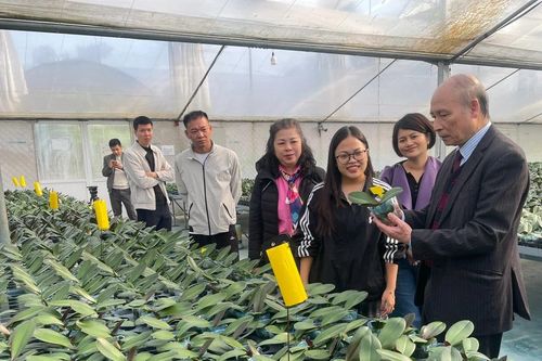 Hai điểm sáng của phong trào xây dựng nông thôn mới ở Hà Nội