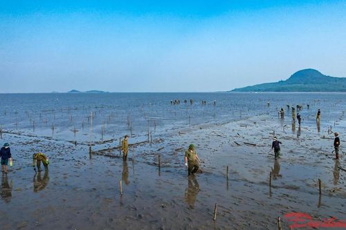 Công an Quảng Ninh vào cuộc xử lý vi phạm trong nuôi trồng thủy sản