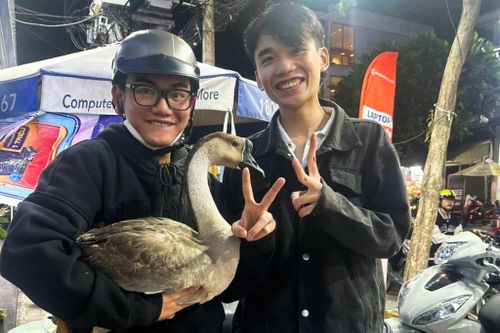 Tặng trà sữa cho khách đến cùng chó, mèo, vịt cưng tại TP.HCM
