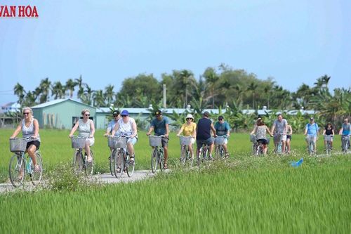 Du lịch xanh - 'tấm vé' để Đà Nẵng chinh phục thị trường khách Âu - Mỹ