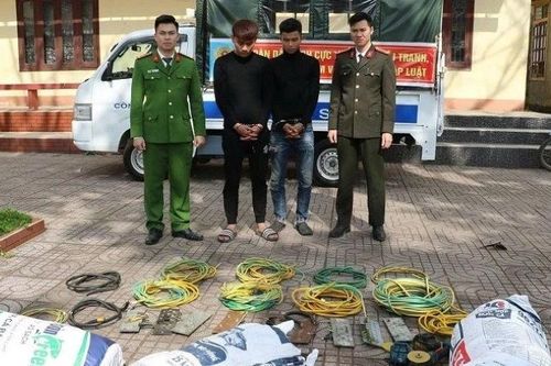 Bắt giữ hai đối tượng trộm cắp dây cáp viễn thông, gây thiệt hại gần 1 tỷ đồng