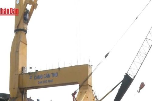 Thiếu hạ tầng logistics khiến cảng biển Cần Thơ gặp khó