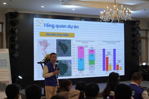 Sinh kế nông nghiệp thích ứng giúp phụ nữ vùng cao Quảng Trị vững vàng trước biến đổi khí hậu