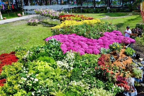 Độc đáo bản đồ Việt Nam kết tinh từ 1.000 giống hoa tại Sa Đéc