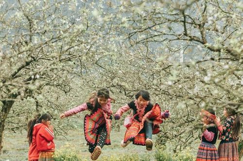 Việt Nam có gì hấp dẫn để được vinh danh điểm đến mùa Đông lý tưởng?