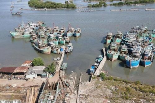 Giải pháp đồng bộ của TP. Hồ Chí Minh nhằm ngăn vi phạm IUU, bảo vệ sinh kế ngư dân
