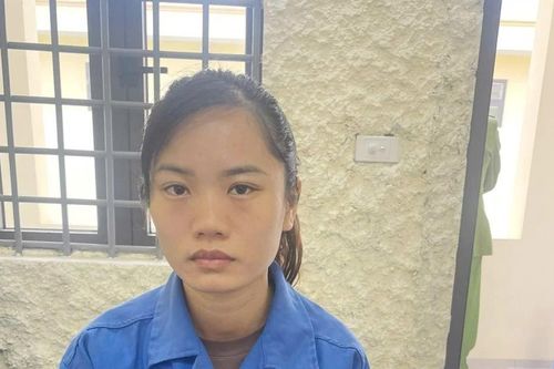 Tạm giam người phụ nữ lừa đảo chiếm đoạt 73 thùng pháo hoa