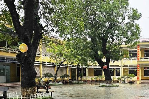 Sức khỏe các học sinh bị nôn ói sau bữa ăn trưa ở Huế hiện ra sao?