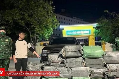 Bắt giữ vụ vận chuyển trái phép gần 400kg lòng lợn sấy bốc mùi ở Móng Cái