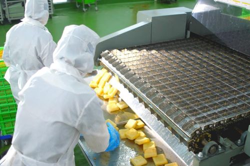 Kowa đầu tư nhà máy thực phẩm 'triệu đô' ở Việt Nam