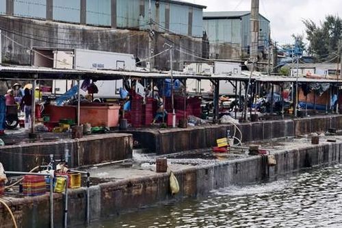 Xử lý nước thải cảng cá Quảng Ngãi: Hoạt động cầm chừng, dân lo ô nhiễm