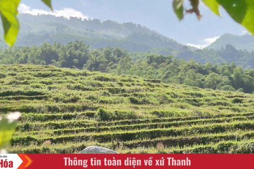 Mùa ruộng nghỉ