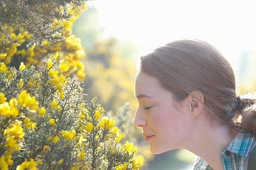Bản đồ mùi hương: 'Đọc' đô thị qua khứu giác