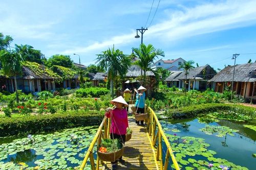 Du lịch xanh Đà Nẵng, từ nền tảng đến tương lai: Các chủ thể đồng bộ vào cuộc